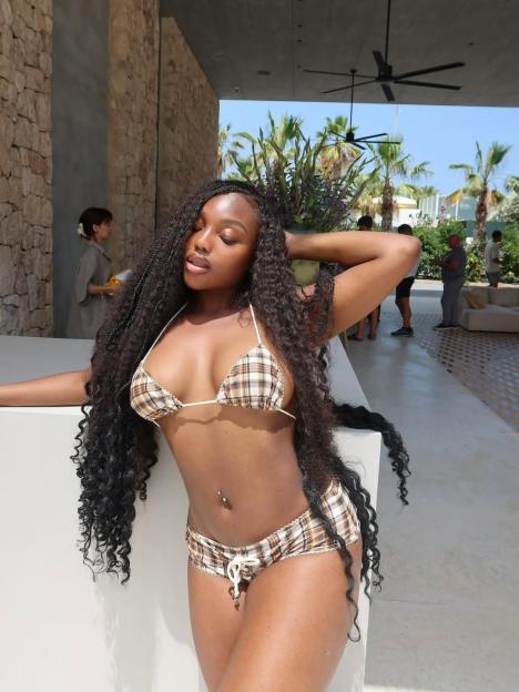 NINTCHDBPICT001040098183