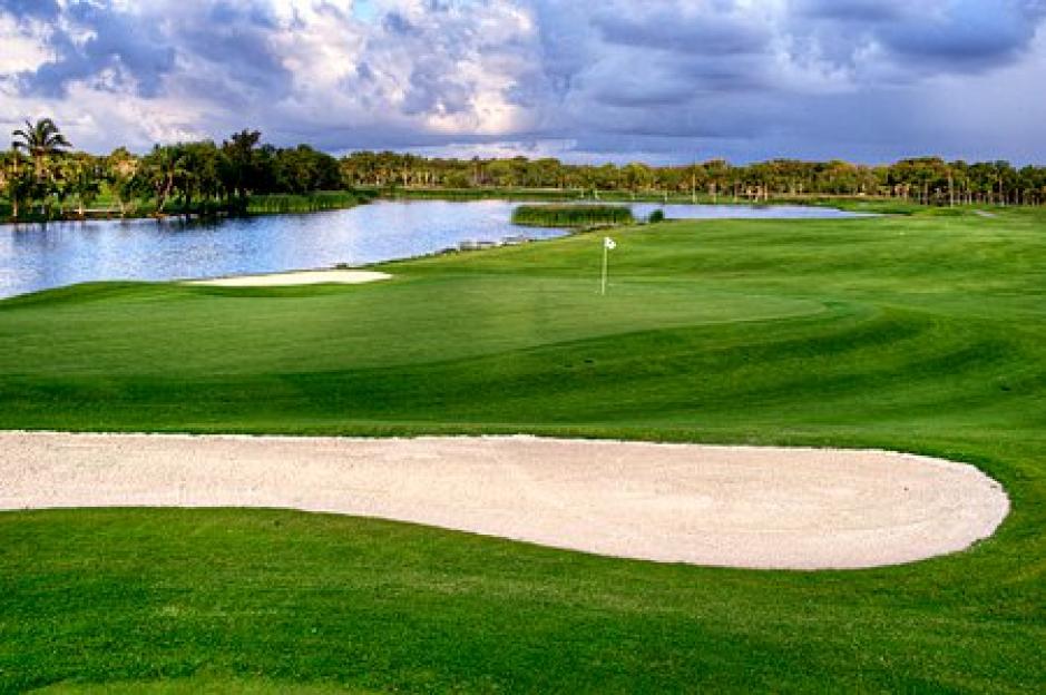 NINTCHDBPICT001072117399