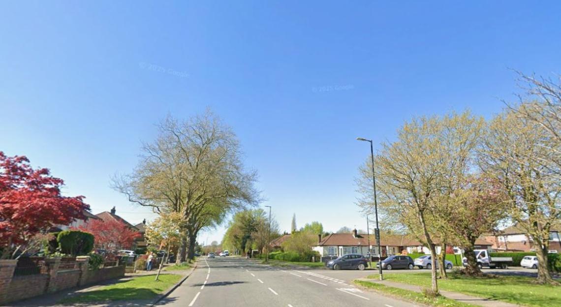 A road with houses and trees on both sides.