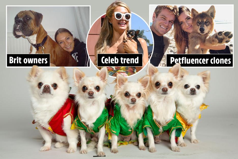 Inside the UK’s Pet Cloning Craze: Desperate Brits Shell Out £50k to Bring ‘Zombie Dogs’ Back to Life—Plus, TV Star Shows Off Her Replica Twins!