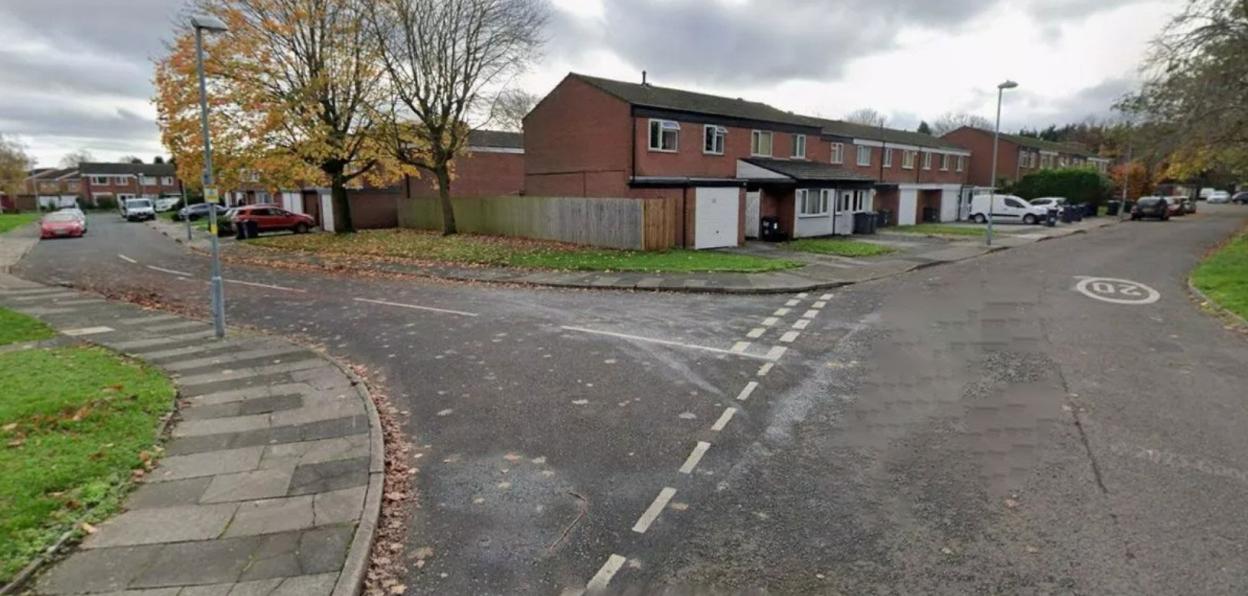 A girl attacked by a dog