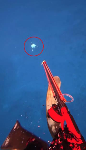 Diver Captures Harrowing Shark Attack That Nearly Costs Him a Leg – But He Holds No Grudges!