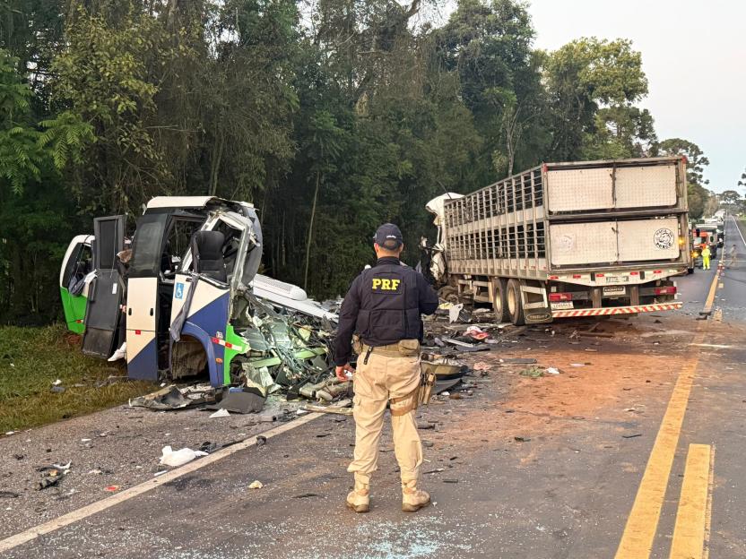 Tragic Bus-Truck Collision on Brazilian Highway Claims 23 Lives and Leaves Four Injured