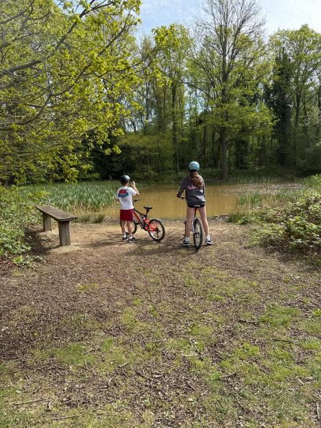 Two children on bicycles near a pond in a wooded area.