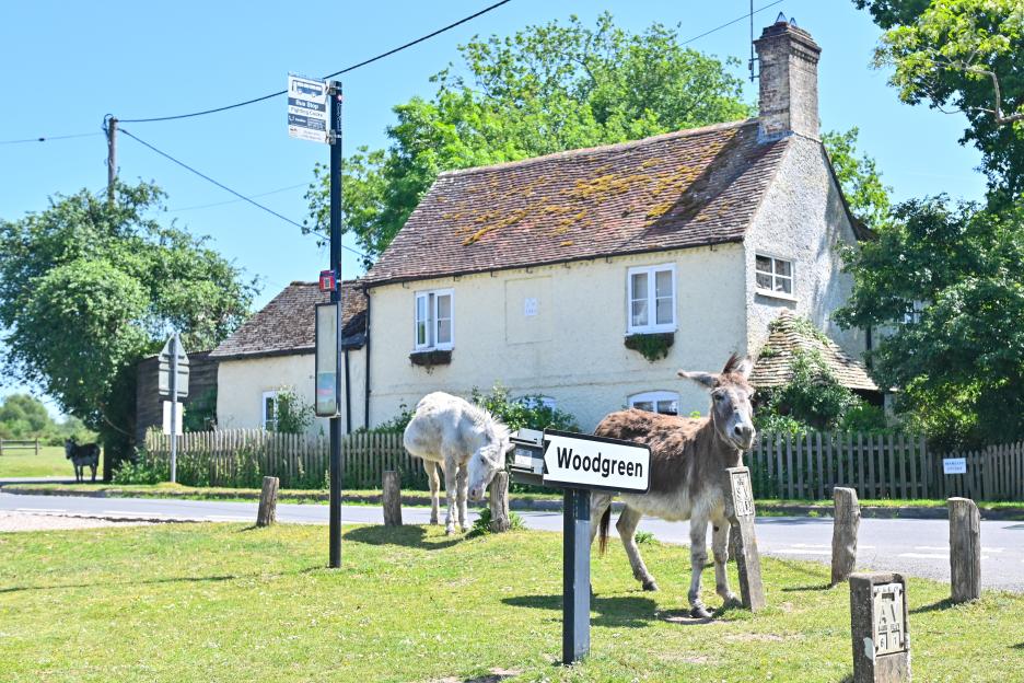 Charming English Village Still Lacking Reliable Internet 26 Years After UK's Broadband Launch