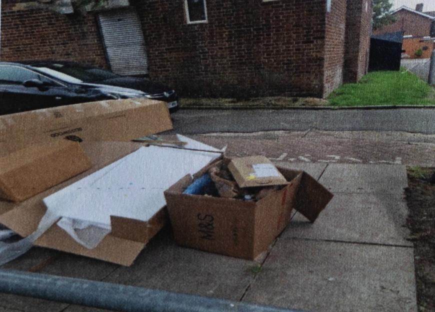 NINTCHDBPICT001038529717