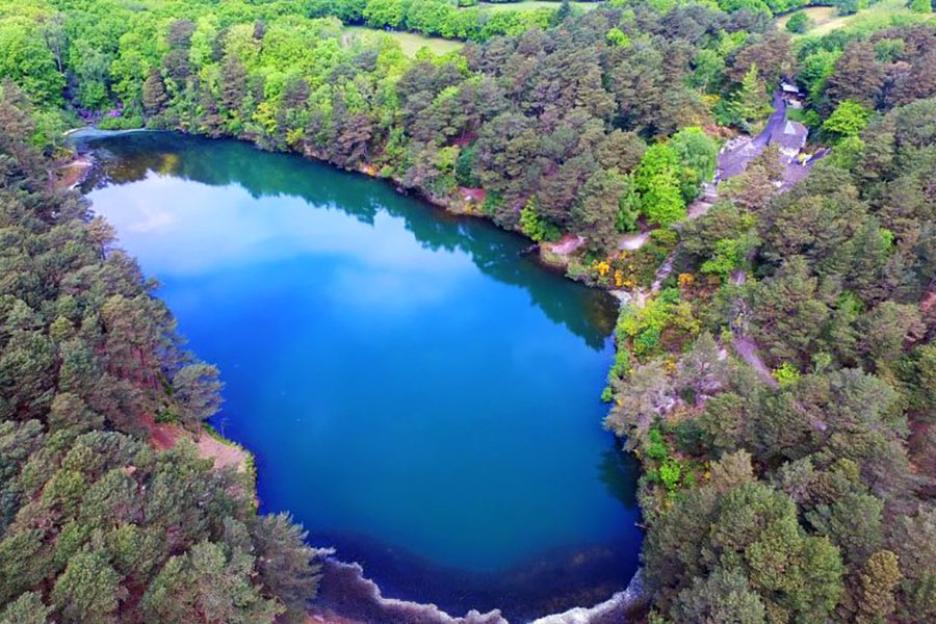 An aerial view of a lake surrounded by green trees.