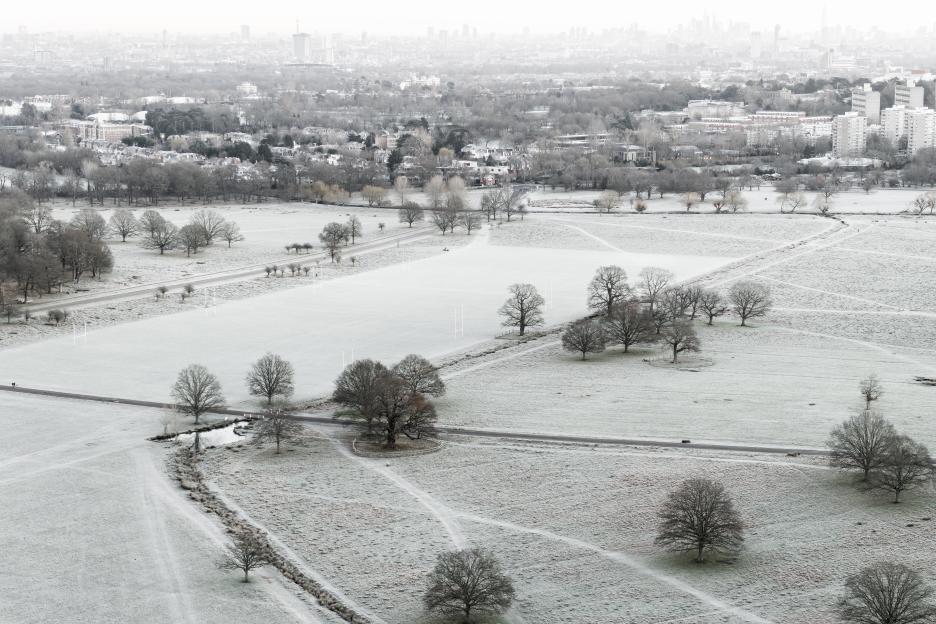 Aerial view of frost covering Richmond Park at dawn in London.