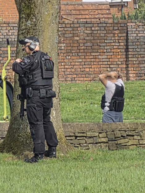 NINTCHDBPICT001068423025