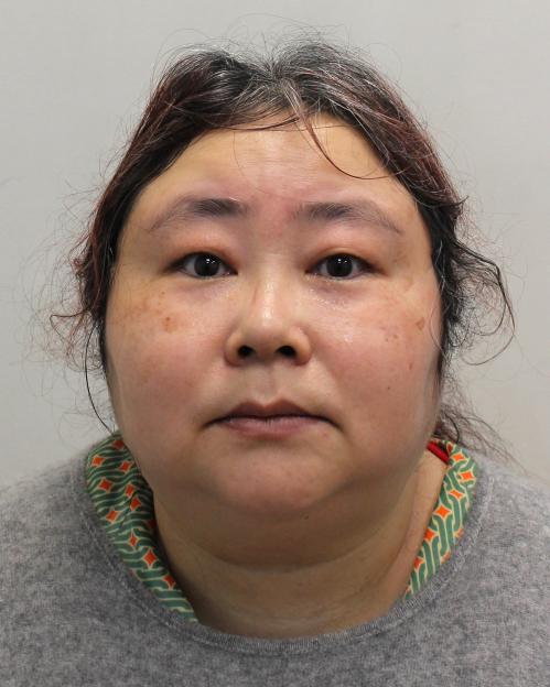 Zhimin Qian, alias Yadi Zhang, who was convicted for her role in a multibillion-dollar Bitcoin fraud.