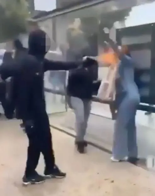 VIDEO: Masked protester blasts woman¿s FACE with makeshift FLAMETHROWER after she tries to stop vandalism