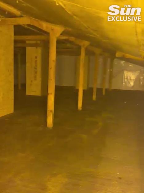 Interior of a former chicken barn showing wooden support beams and sealed windows, indicative of a cannabis farm.