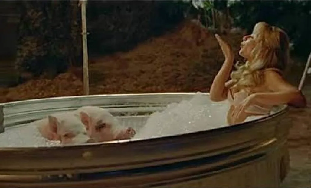 Sabrina Carpenter in a bubble bath with pigs in the Manchild video.