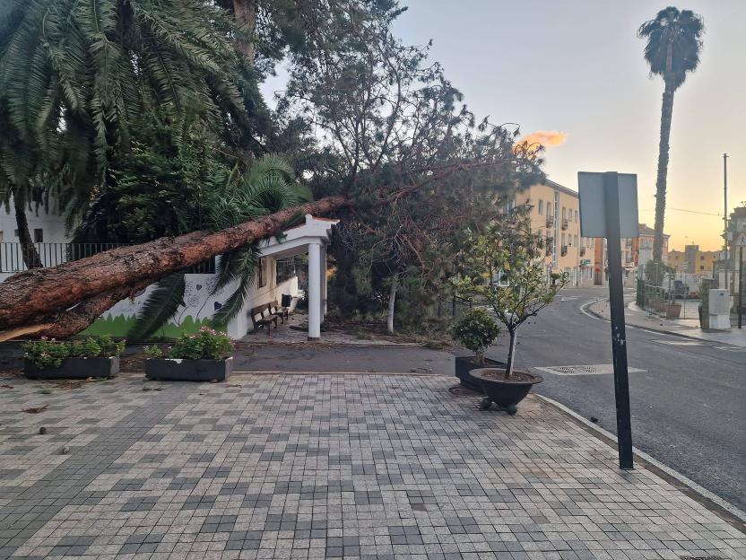 Canaries Brace for Five Days of Storm Therese: Heavy Rain and Snow on the Way!