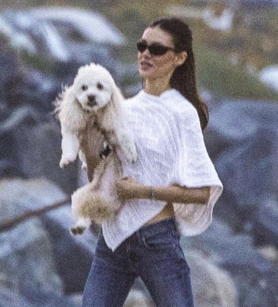 Nicola Peltz Beckham carrying a white fluffy dog.