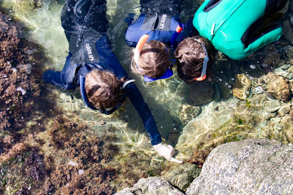 Two children in wetsuits and snorkels look into clear water, one pointing at something on the rocky seabed.