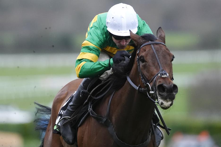 Cheltenham Races