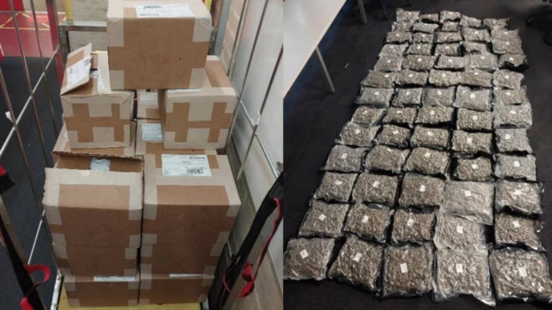 Collage of stacked boxes and multiple clear plastic bags filled with cannabis.
