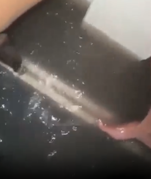 Person washing an item in a sink.