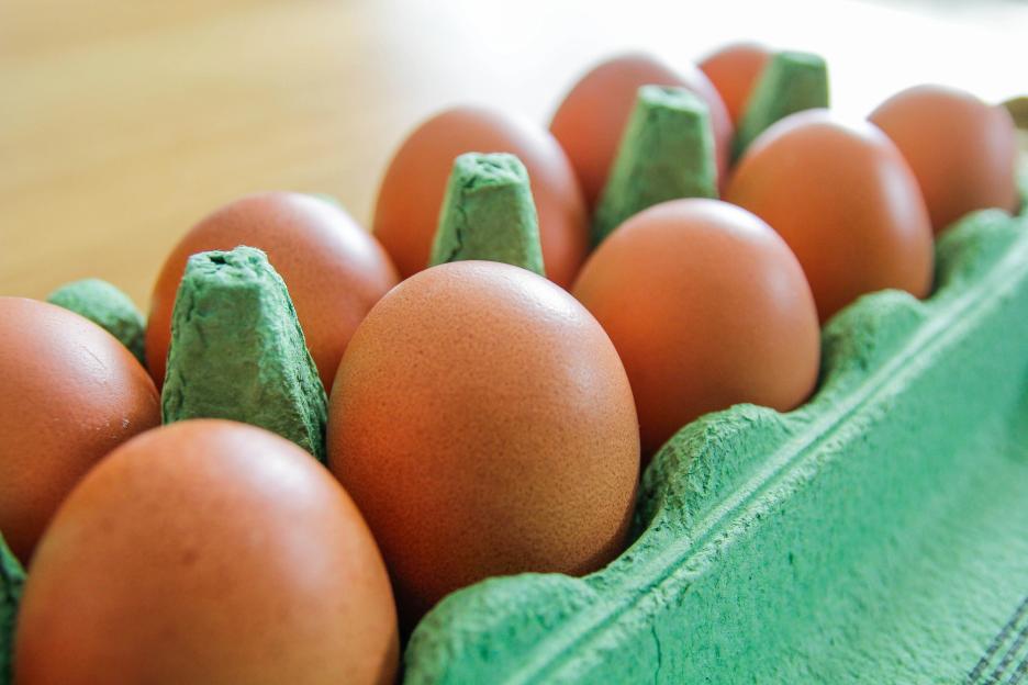 Brown eggs in a green carton.