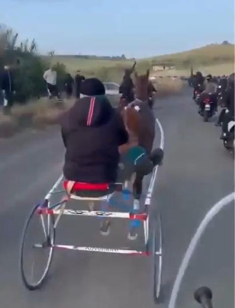 View from behind a person on a sulky pulled by a horse on a road, with many motorbikes following in the background.