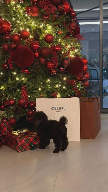 NINTCHDBPICT001048389296