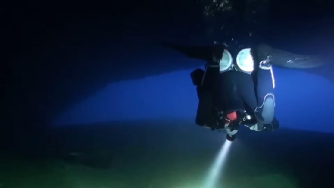 NINTCHDBPICT001081868837