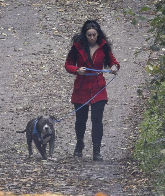 Woman in a red coat walking a pitbull on a leash.