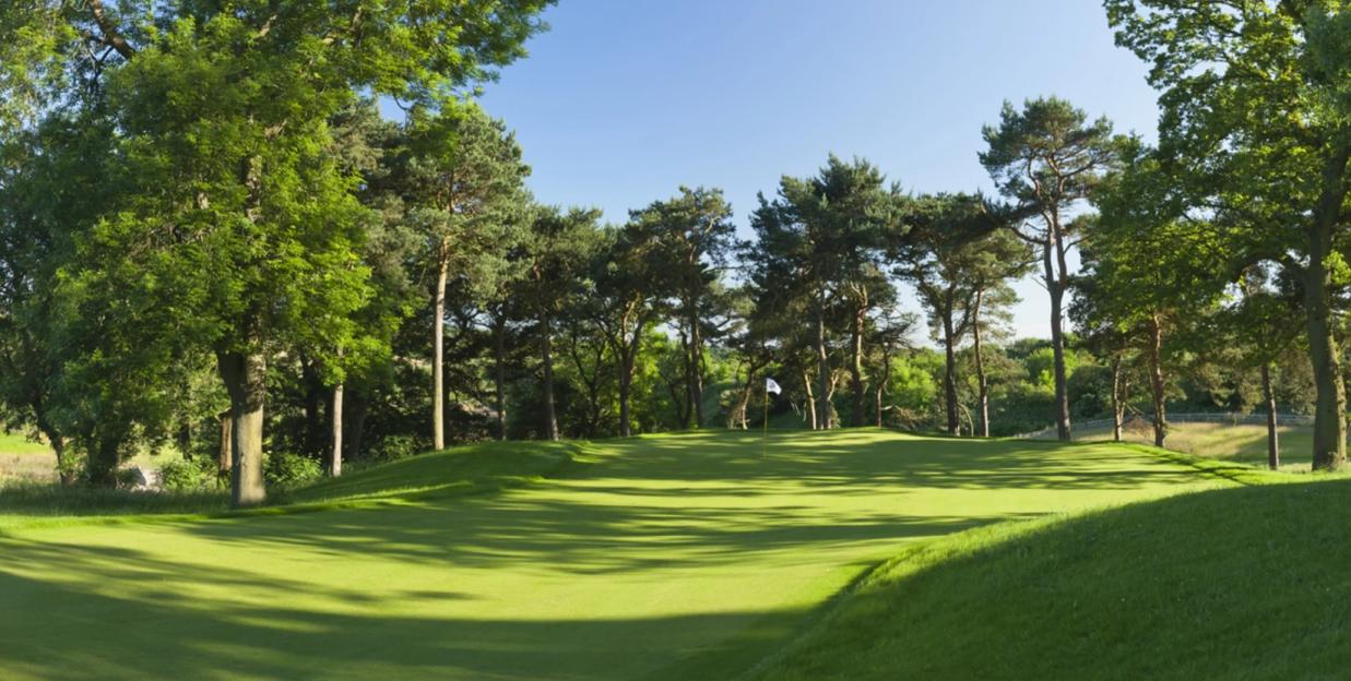 A golf course putting green with a flagstick in the distance, surrounded by trees.