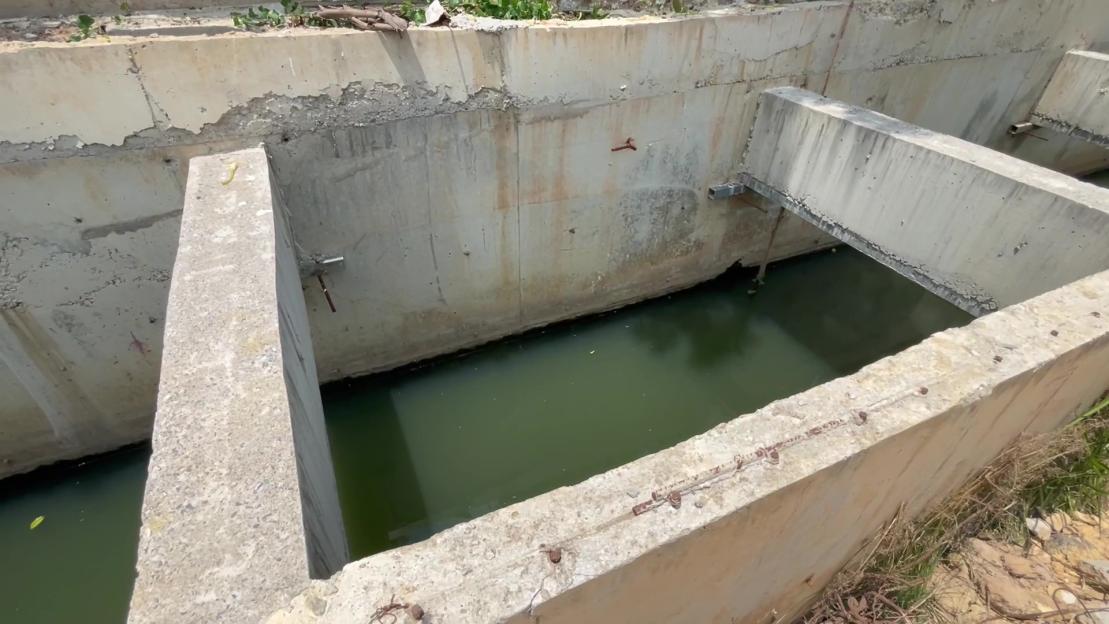 NINTCHDBPICT001068096234