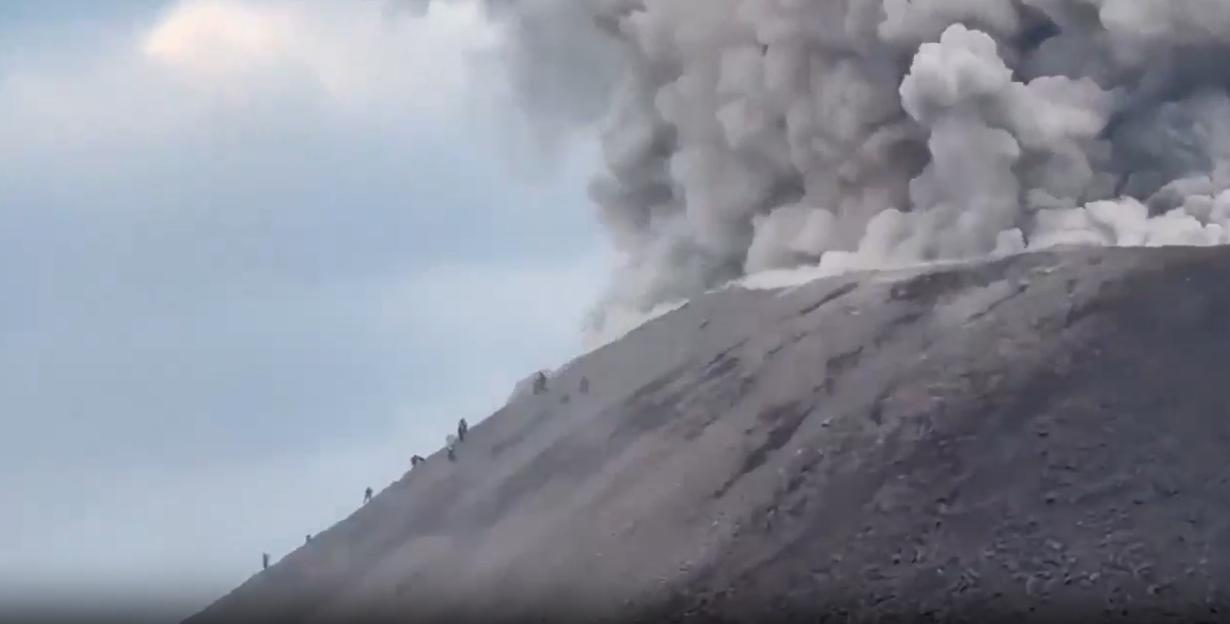 NINTCHDBPICT001075869599