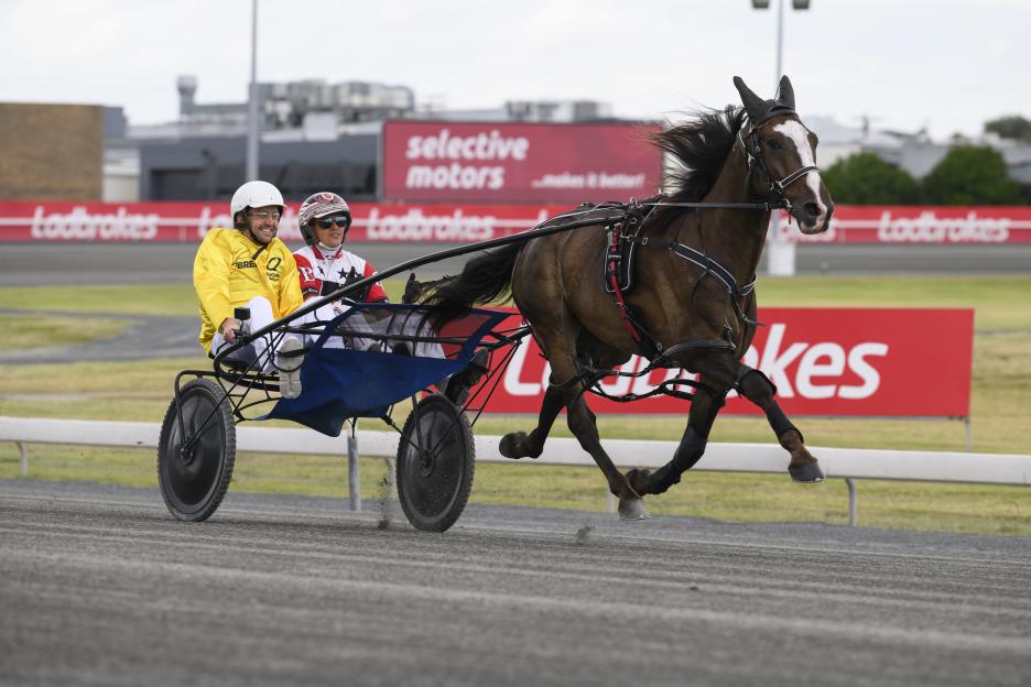 Harness driver Nathan Henry in a sulky behind a galloping horse on a racetrack.