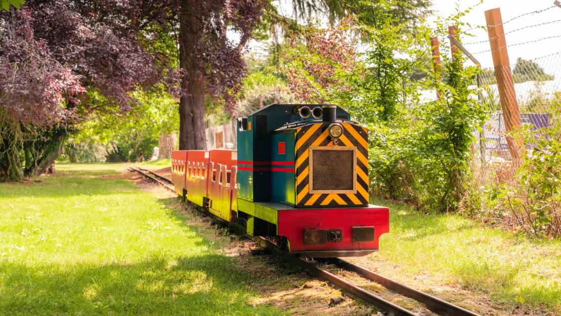 A miniature train with a blue, yellow, and black striped engine and red passenger cars on a track through a grassy, wooded area.