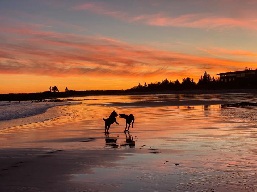 We moved from UK to Canada to build our dream home for a quarter of the price