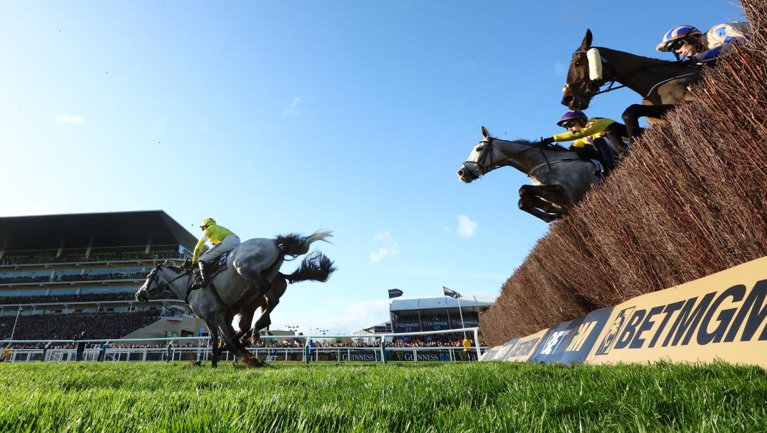 Thorough Investigation Begins After Series of 'Horrific' False Starts at Cheltenham Races
