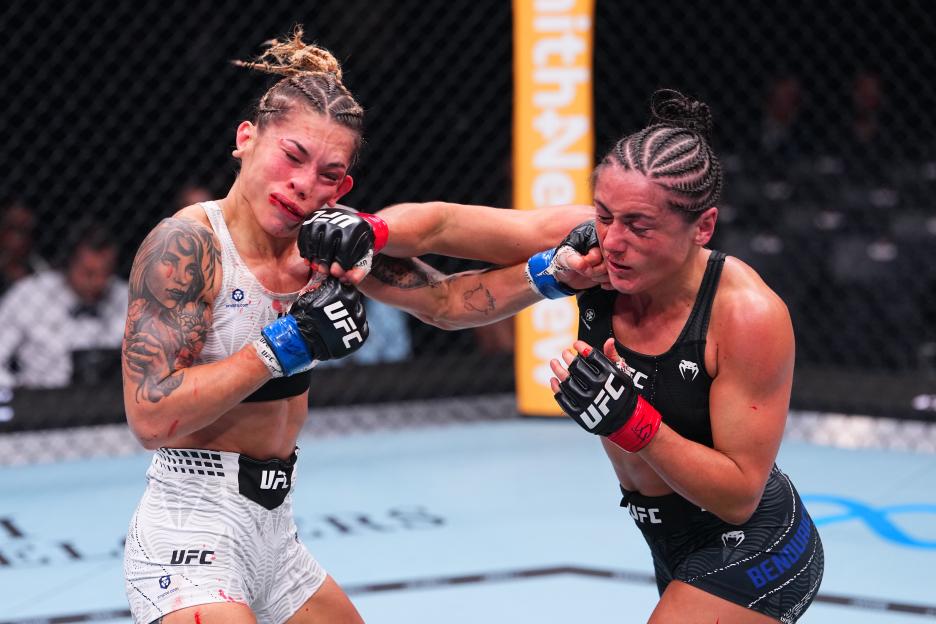 UFC Fight Night: Benouaich v Montenegro