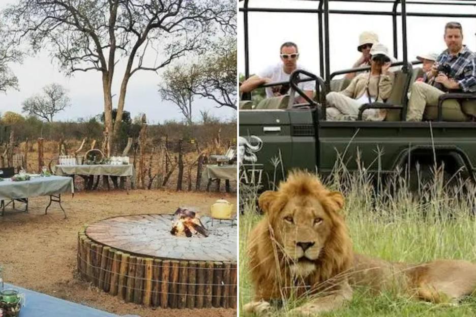 Tragic Sunset: 69-Year-Old Tourist Shot by Safari Guide During BBQ in Famous Park, Friends Left in Shock