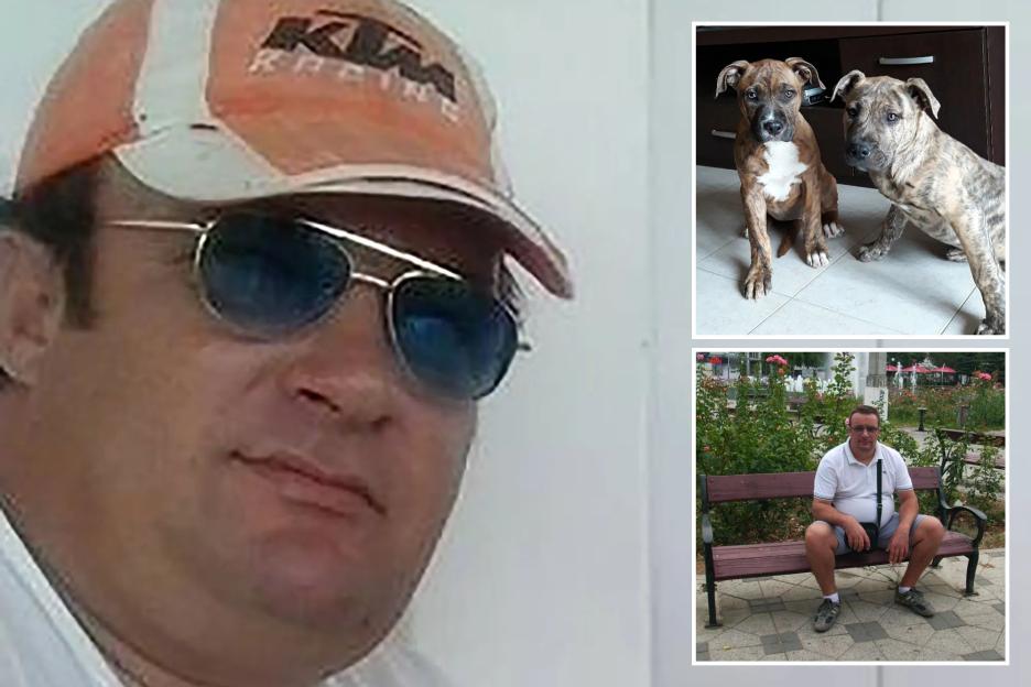 Tragic Discovery: Pit Bulls Devour Owner After He Collapses and Lies Unnoticed for Days