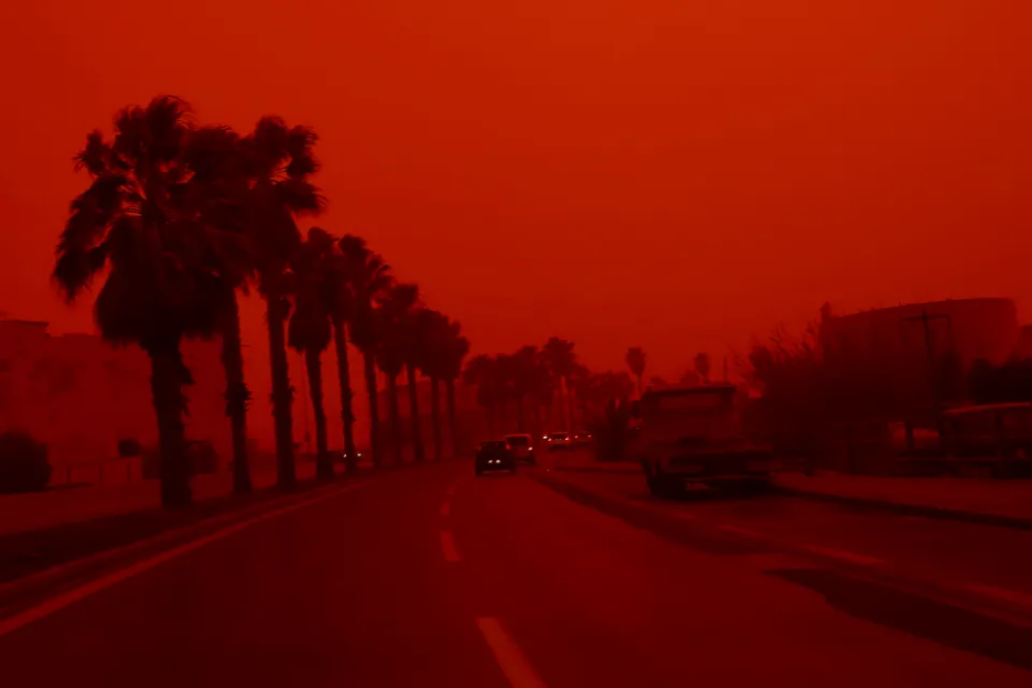 Road with palm trees under a red sky.