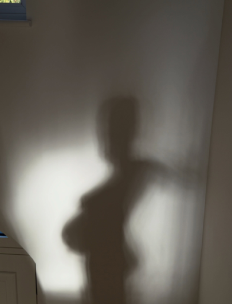 Shadow of a pregnant person on a wall.