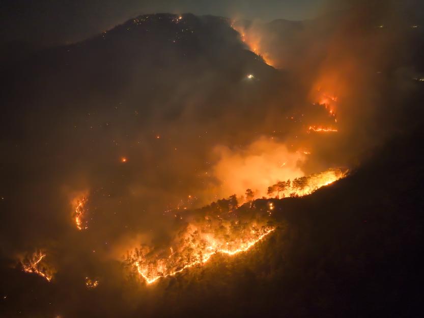 'Tragic Wildfires Force Thousands to Evacuate Crete, Leaving Summer Vacationers in Shock'