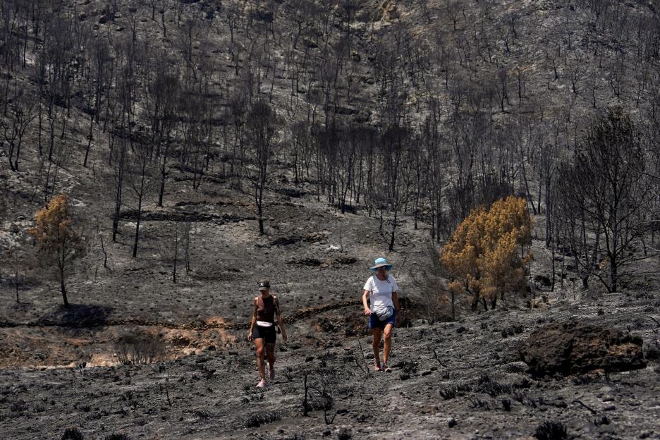 Aftermath of wildfires in Almeria