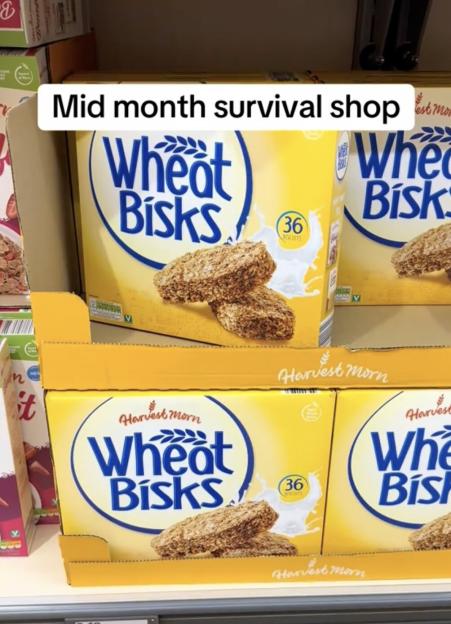 VIDEO: Budget savvy dad reveals how to make it to payday with ¿23 'survival shop'