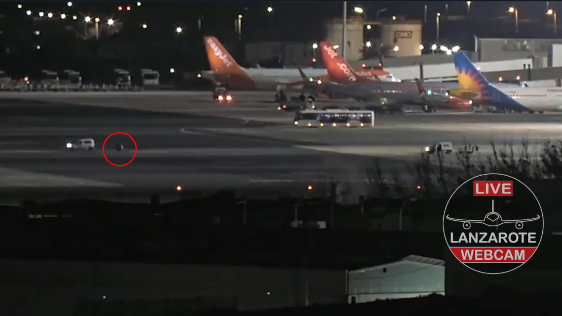 A runaway airplane tire on an airport runway at night.