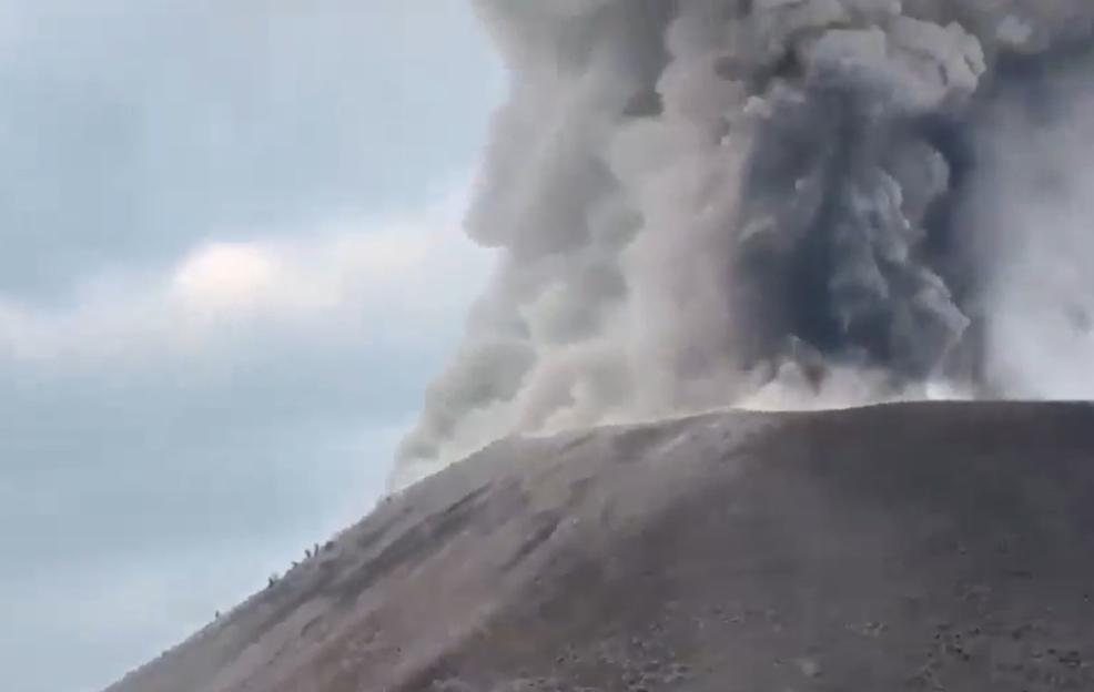 NINTCHDBPICT001075869590