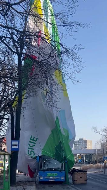 NINTCHDBPICT001066298175