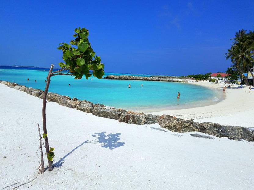 Discover Affordable Maldives Islands: Enjoy £40-a-Night Hotel Stays, Serene Beaches, and Turtle Snorkeling!