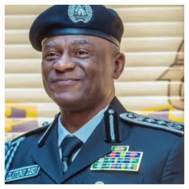 IGP Presents State Police Framework to Senate Committee