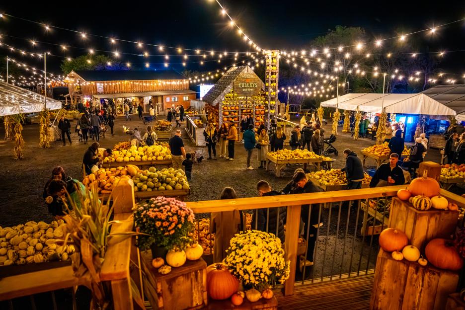 Europe's Biggest Pumpkin Festival is Back: 1.5 Million Pumpkins and Exciting New Features Await!