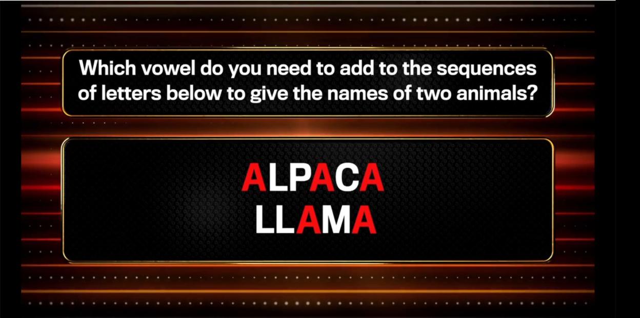 NINTCHDBPICT001057595448